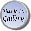 Back to galleries button